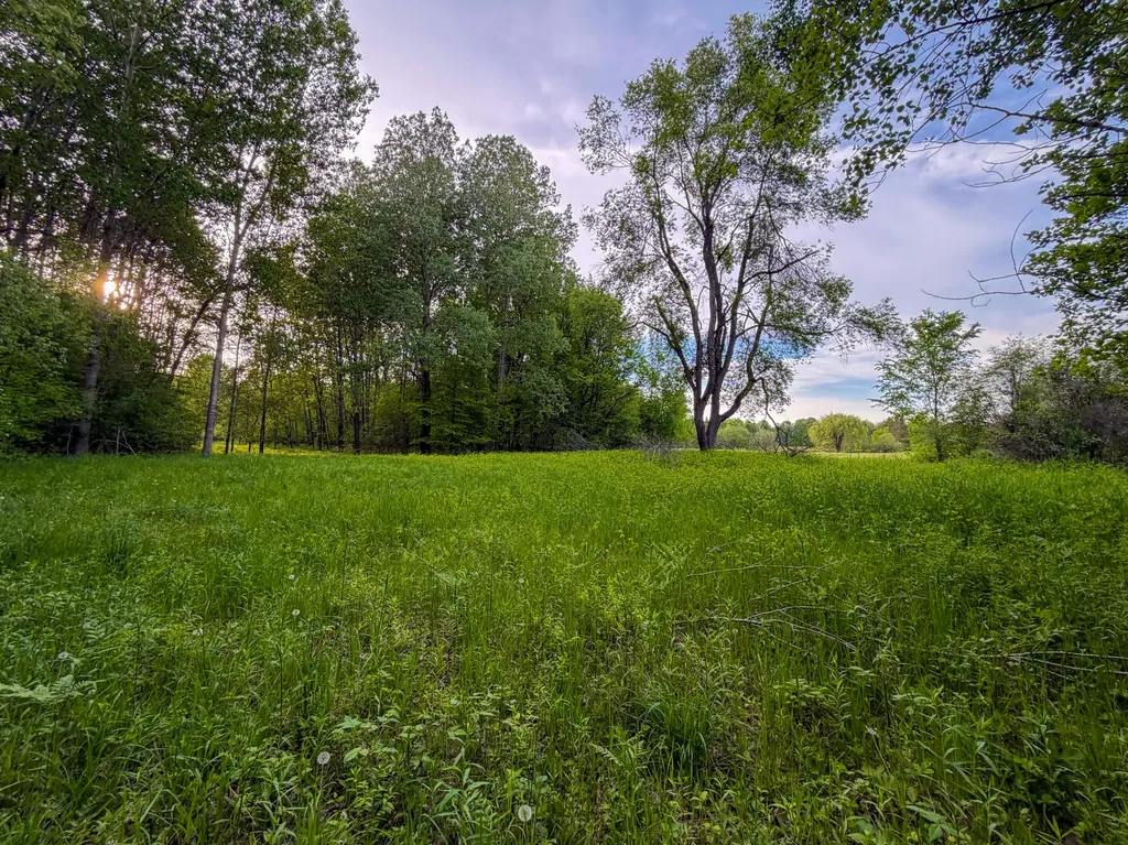 3091 E Sage Lake Hill Township MI 48635