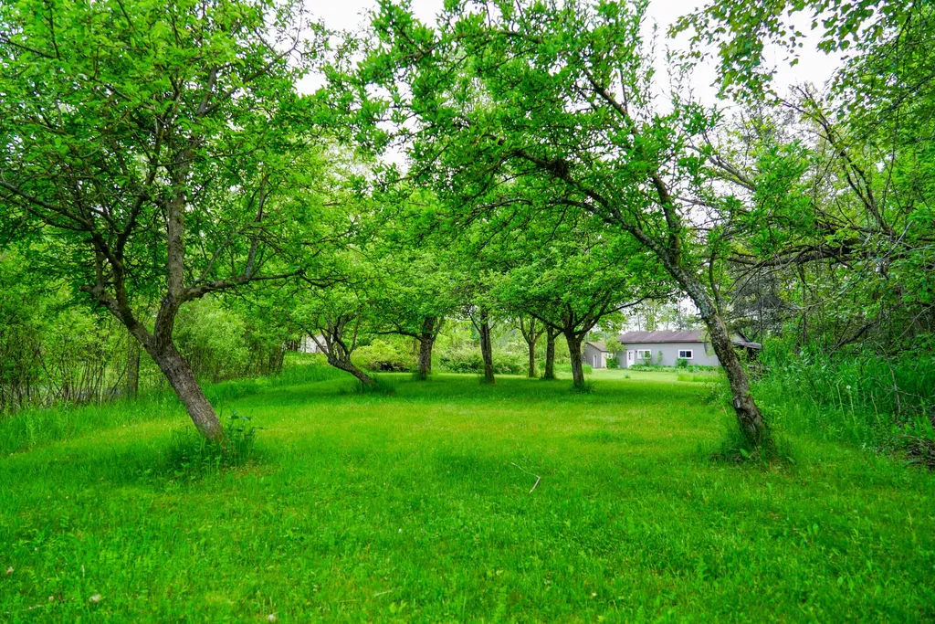 3091 E Sage Lake Hill Township MI 48635