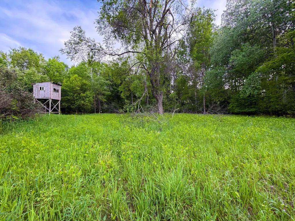 3091 E Sage Lake Hill Township MI 48635