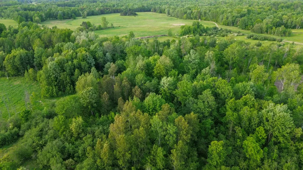 3091 E Sage Lake Hill Township MI 48635