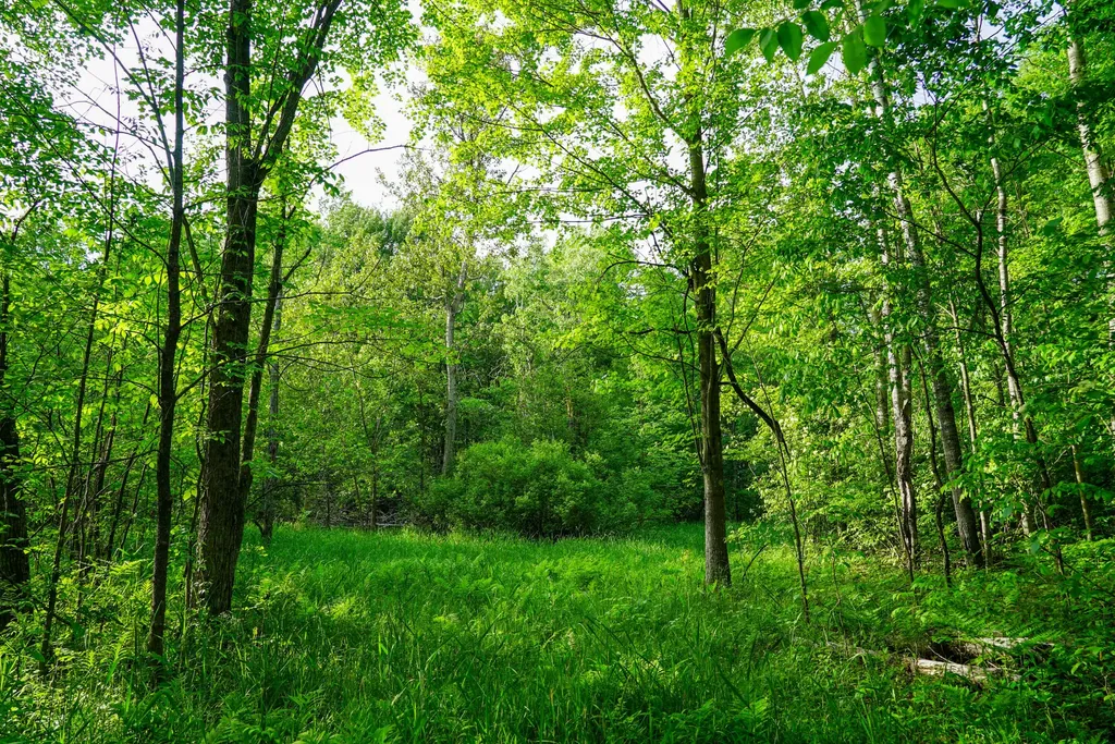 3091 E Sage Lake Hill Township MI 48635