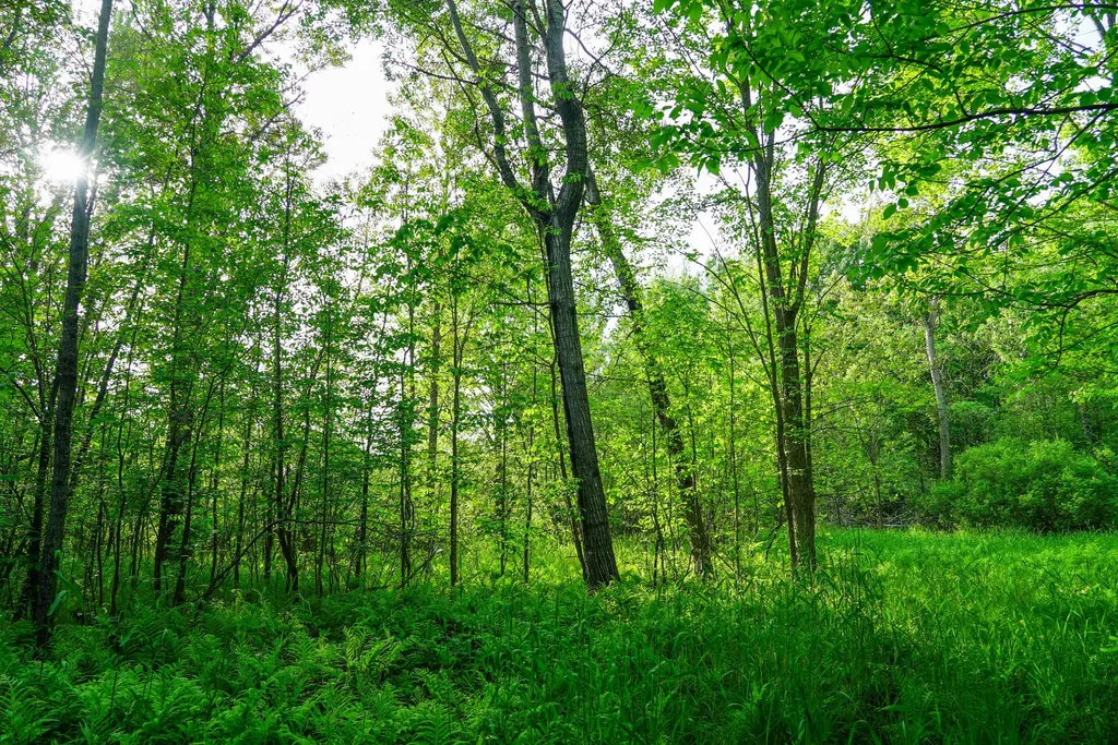 3091 E Sage Lake Hill Township MI 48635
