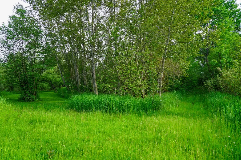 3091 E Sage Lake Hill Township MI 48635