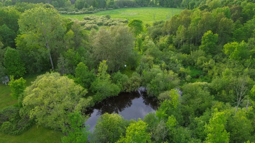 3091 E Sage Lake Hill Township MI 48635