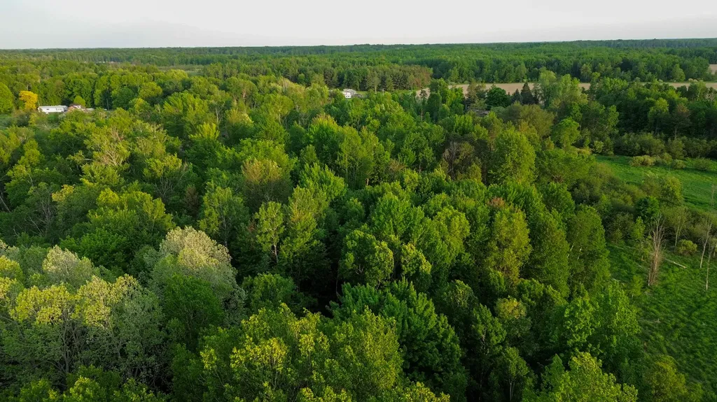 3091 E Sage Lake Hill Township MI 48635