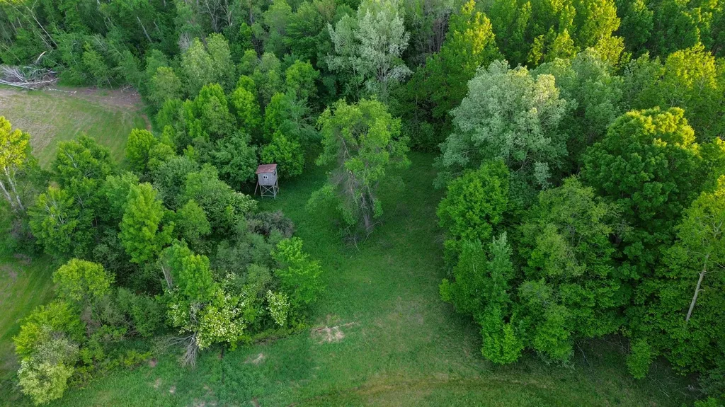 3091 E Sage Lake Hill Township MI 48635
