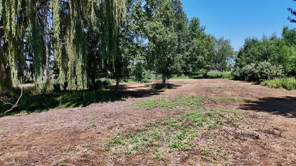6345 N Us Highway 27 Greenbush Township MI 48879