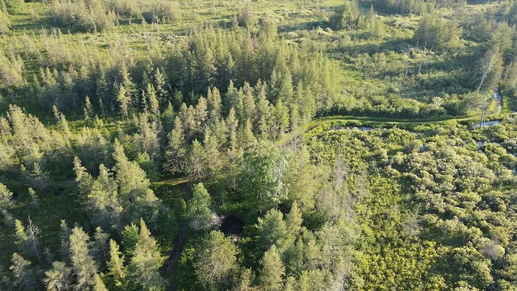 Vl Knute Road Wilber Township MI 48730