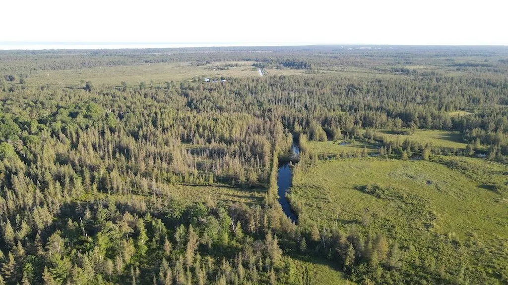 Vl Knute Road Wilber Township MI 48730