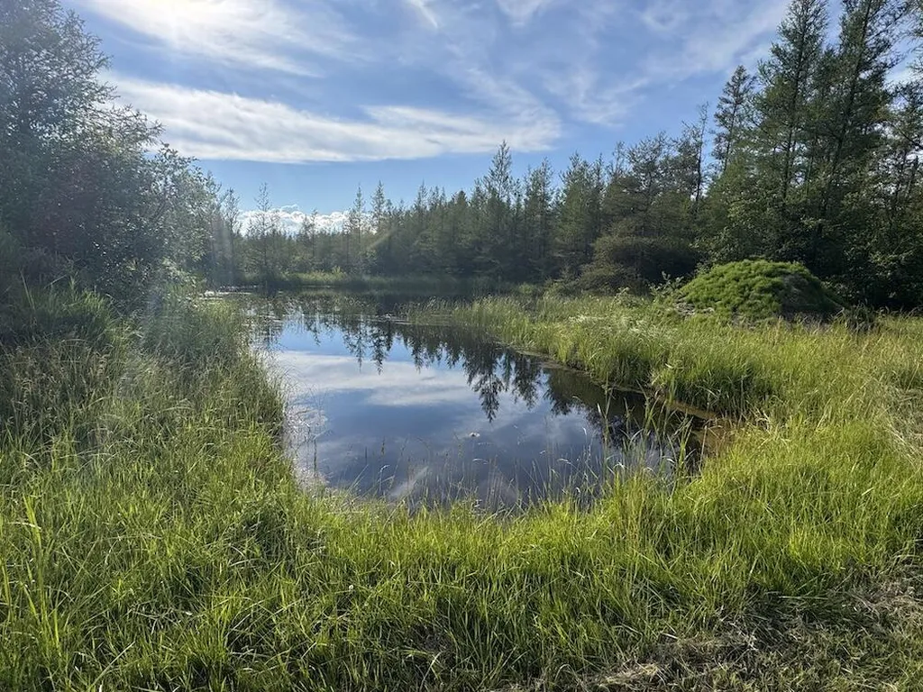 Vl Knute Road Wilber Township MI 48730
