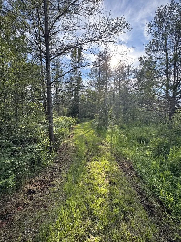 Vl Knute Road Wilber Township MI 48730