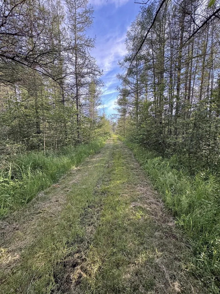 Vl Knute Road Wilber Township MI 48730