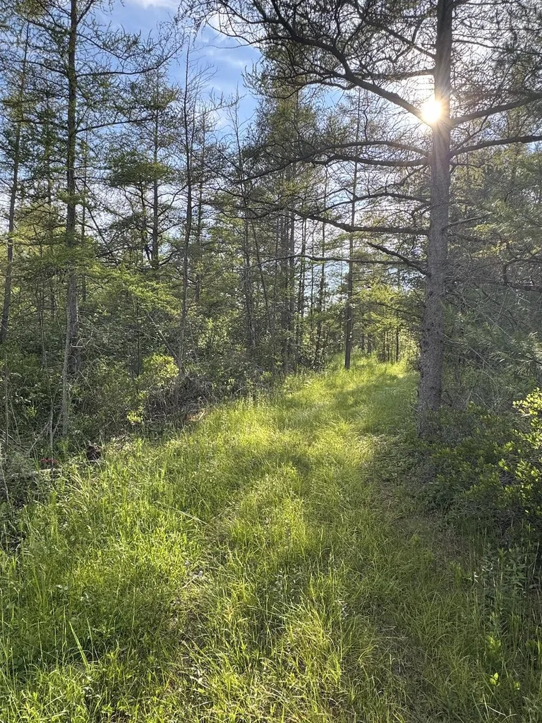 Vl Knute Road Wilber Township MI 48730