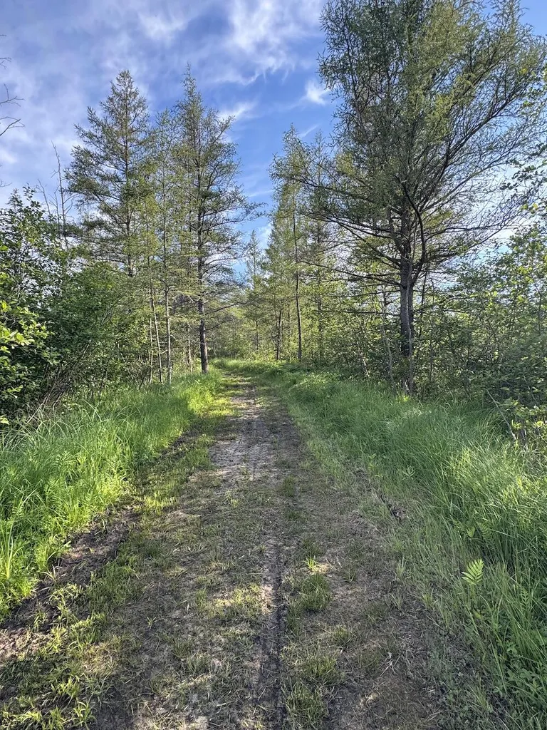Vl Knute Road Wilber Township MI 48730