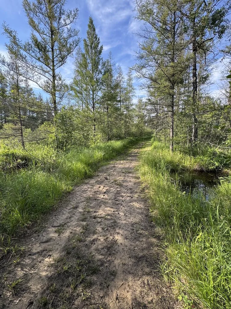 Vl Knute Road Wilber Township MI 48730