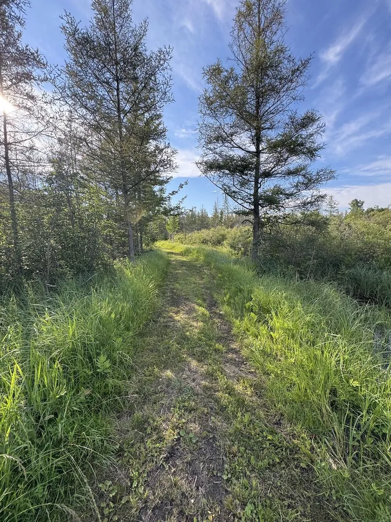 Vl Knute Road Wilber Township MI 48730