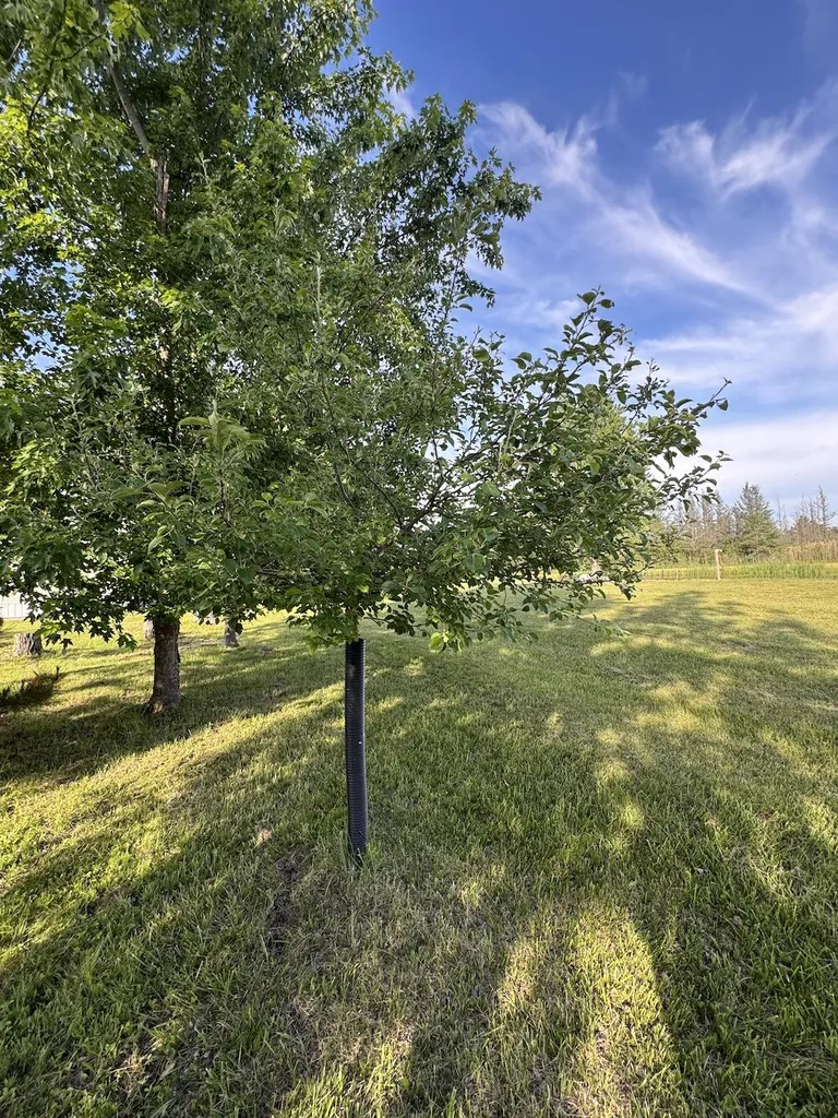 Vl Knute Road Wilber Township MI 48730