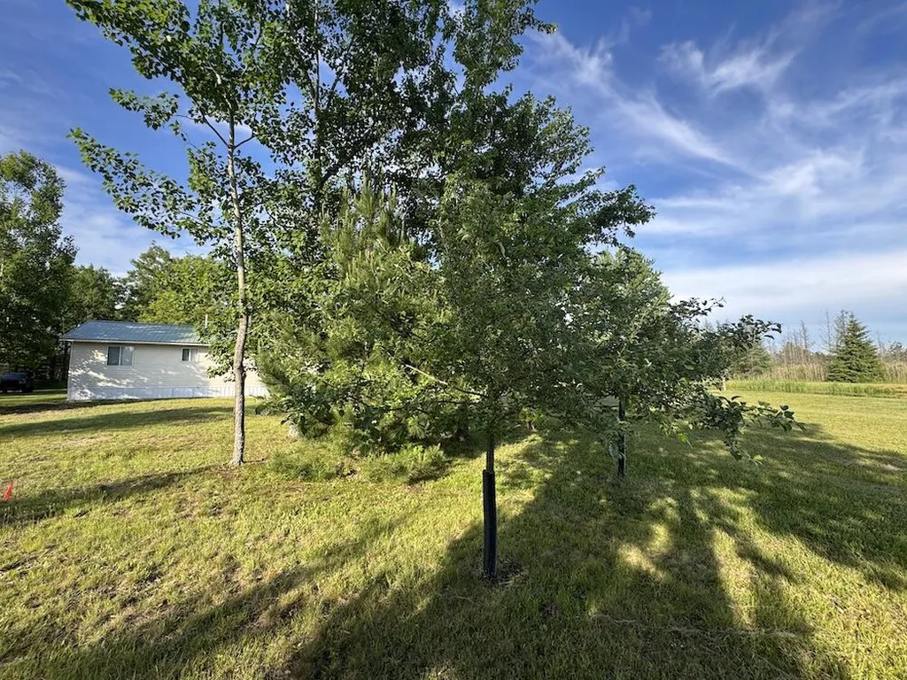 Vl Knute Road Wilber Township MI 48730