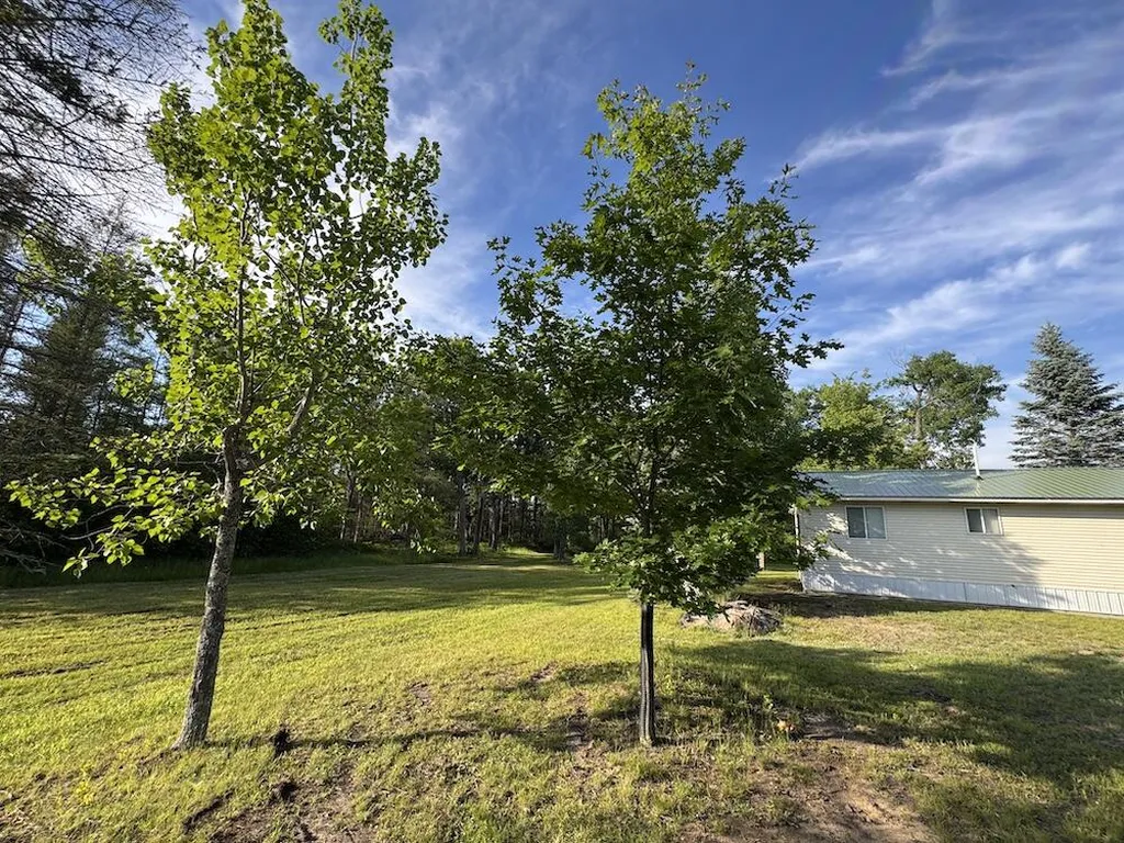 Vl Knute Road Wilber Township MI 48730