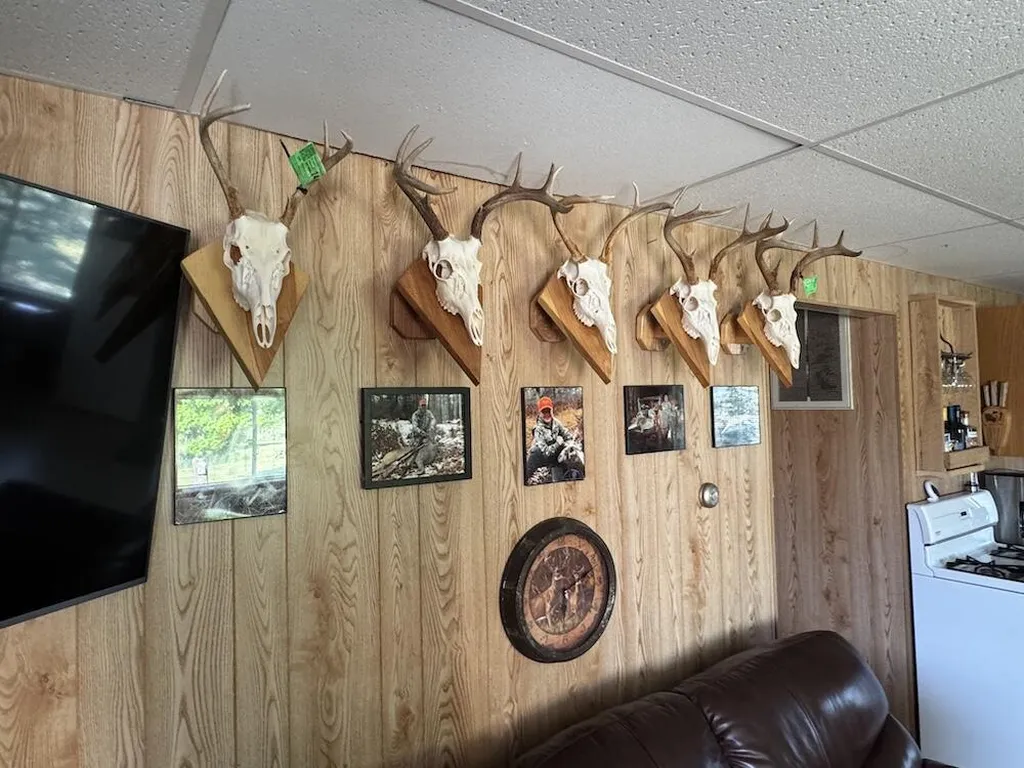 Vl Knute Road Wilber Township MI 48730