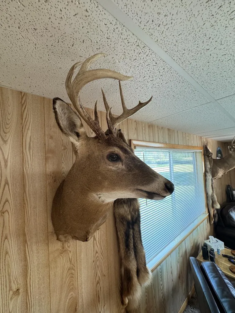 Vl Knute Road Wilber Township MI 48730