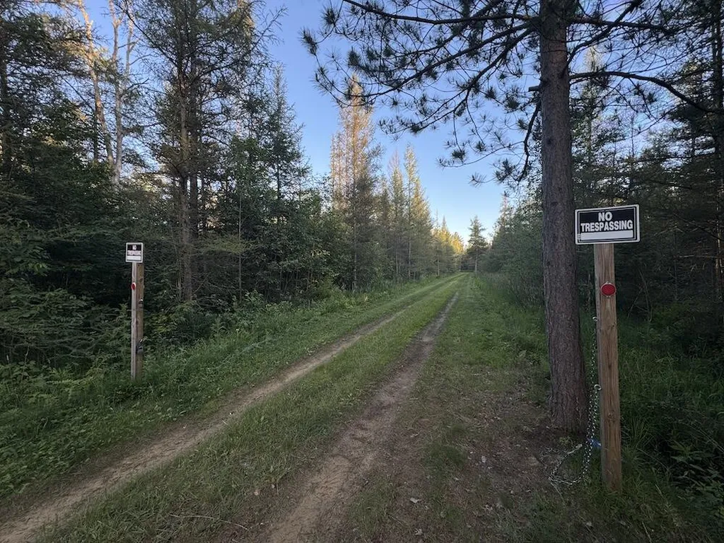 Vl Knute Road Wilber Township MI 48730