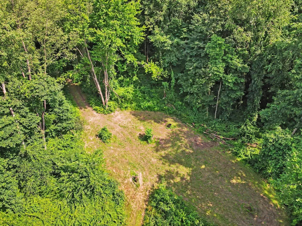 15068 Millard Road Fabius Township MI 49093