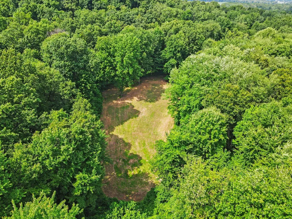 15068 Millard Road Fabius Township MI 49093