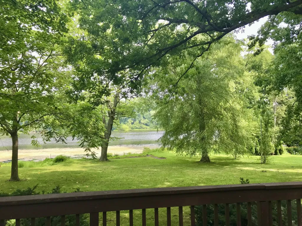 11448 Riverside Drive Mottville Township MI 49099