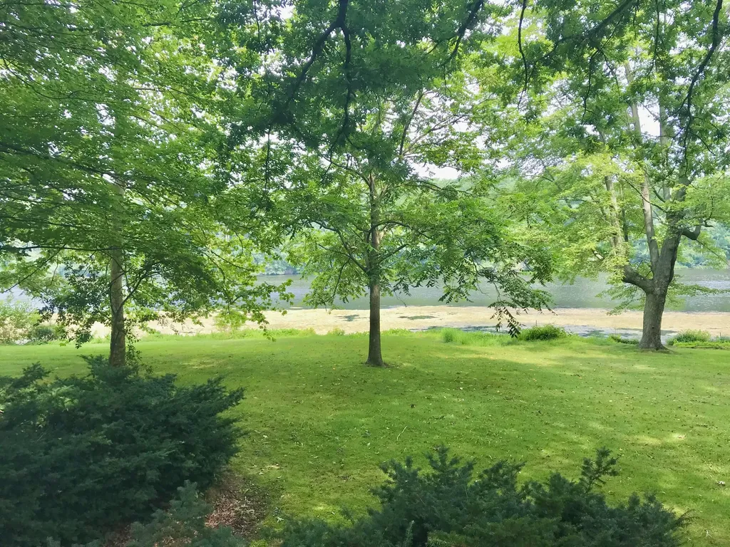 11448 Riverside Drive Mottville Township MI 49099
