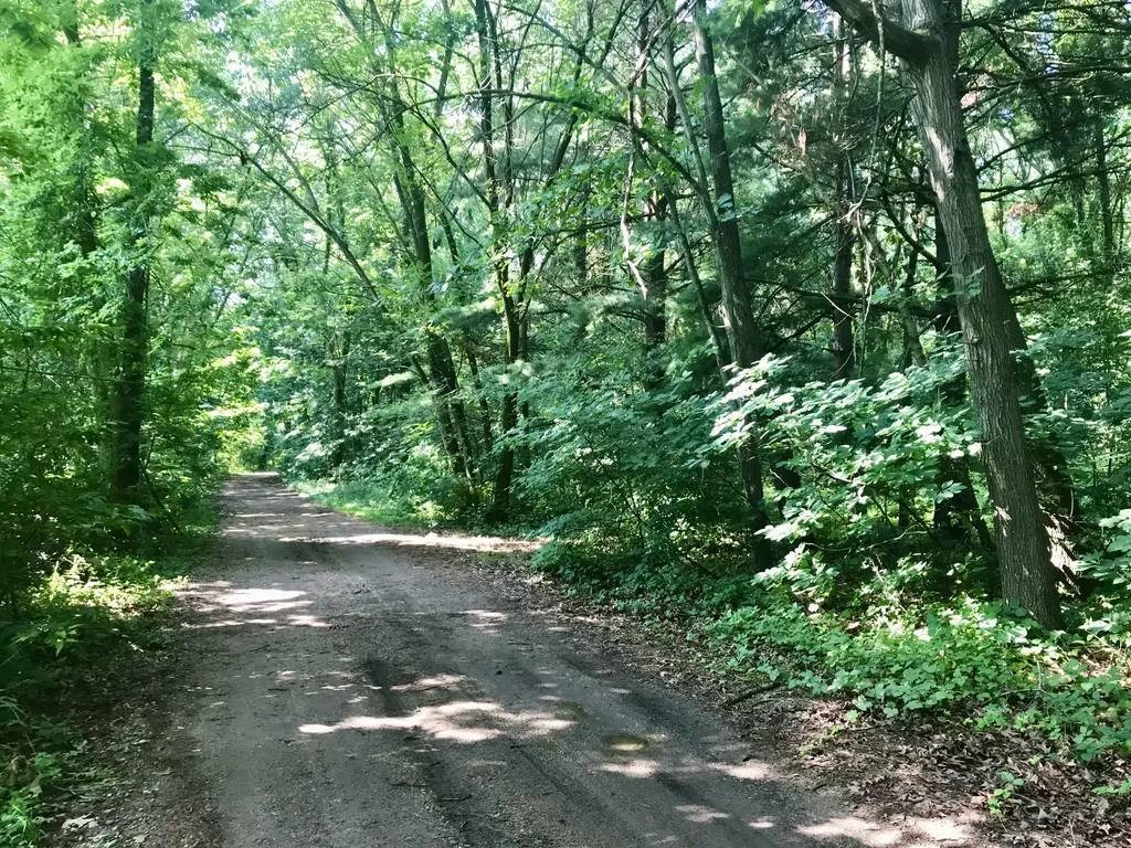 11448 Riverside Drive Mottville Township MI 49099