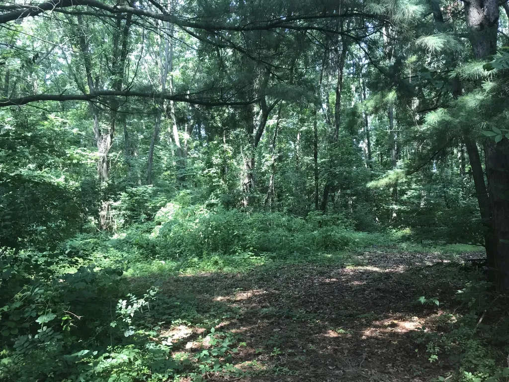 11448 Riverside Drive Mottville Township MI 49099