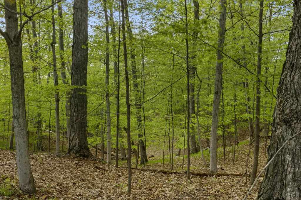 3151 Crystal Drive Lake Township MI 49617