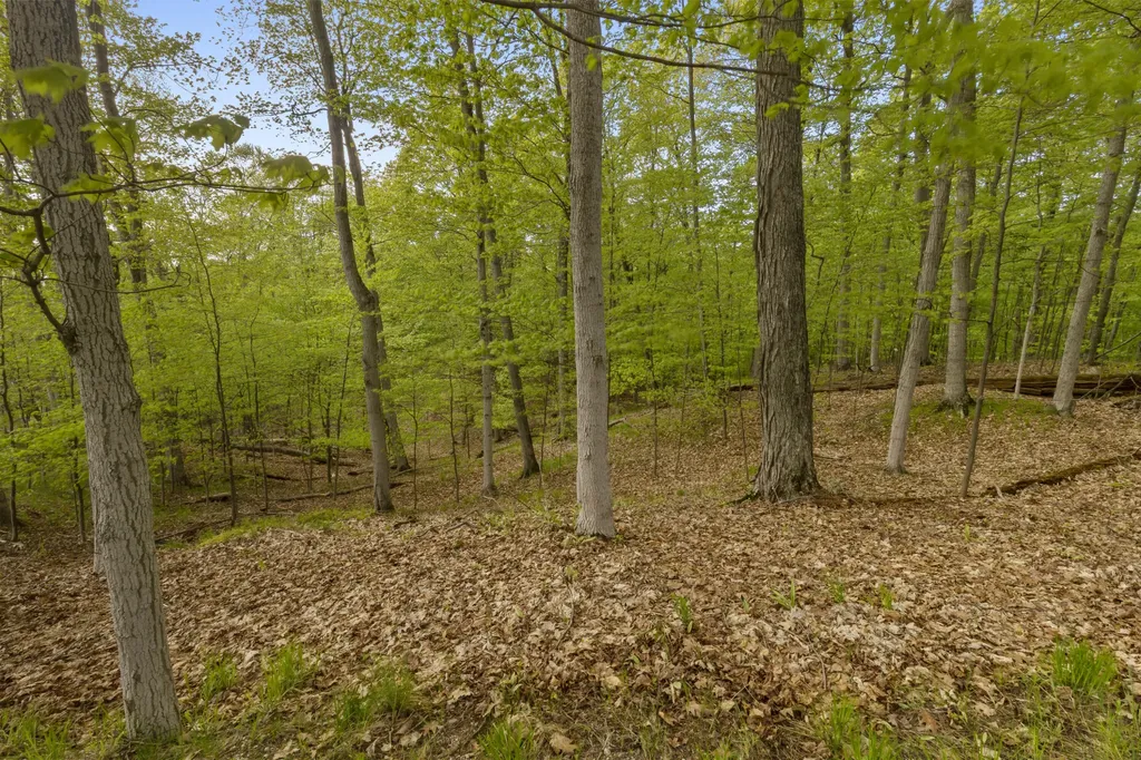 3151 Crystal Drive Lake Township MI 49617