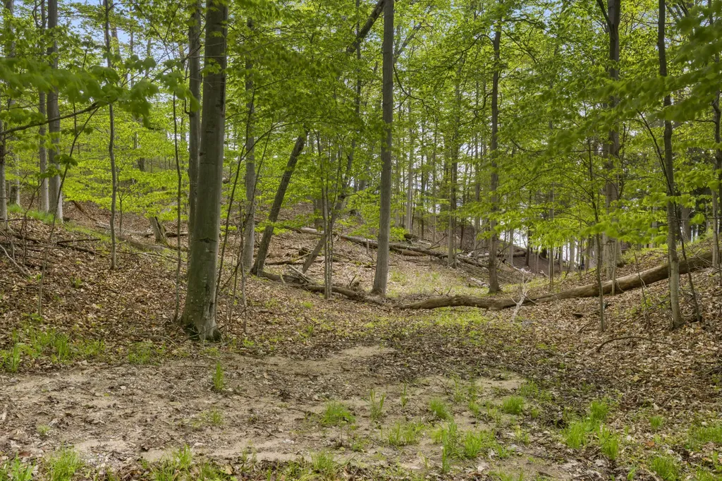 3151 Crystal Drive Lake Township MI 49617