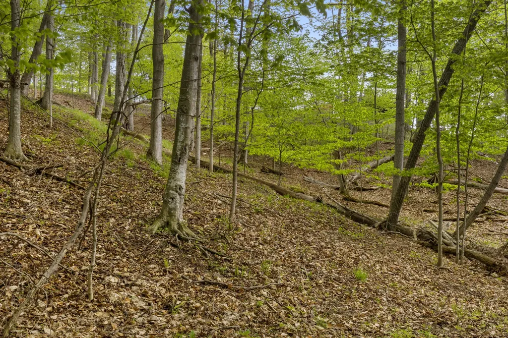 3151 Crystal Drive Lake Township MI 49617