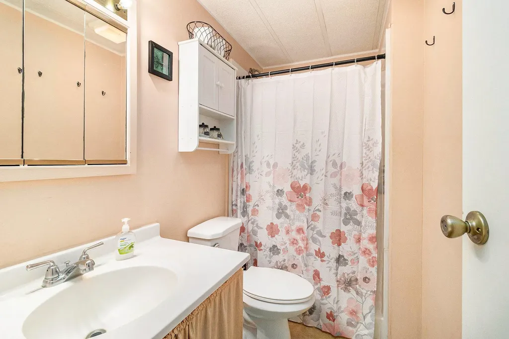 3345 W Madison Road Weare Township MI 49420