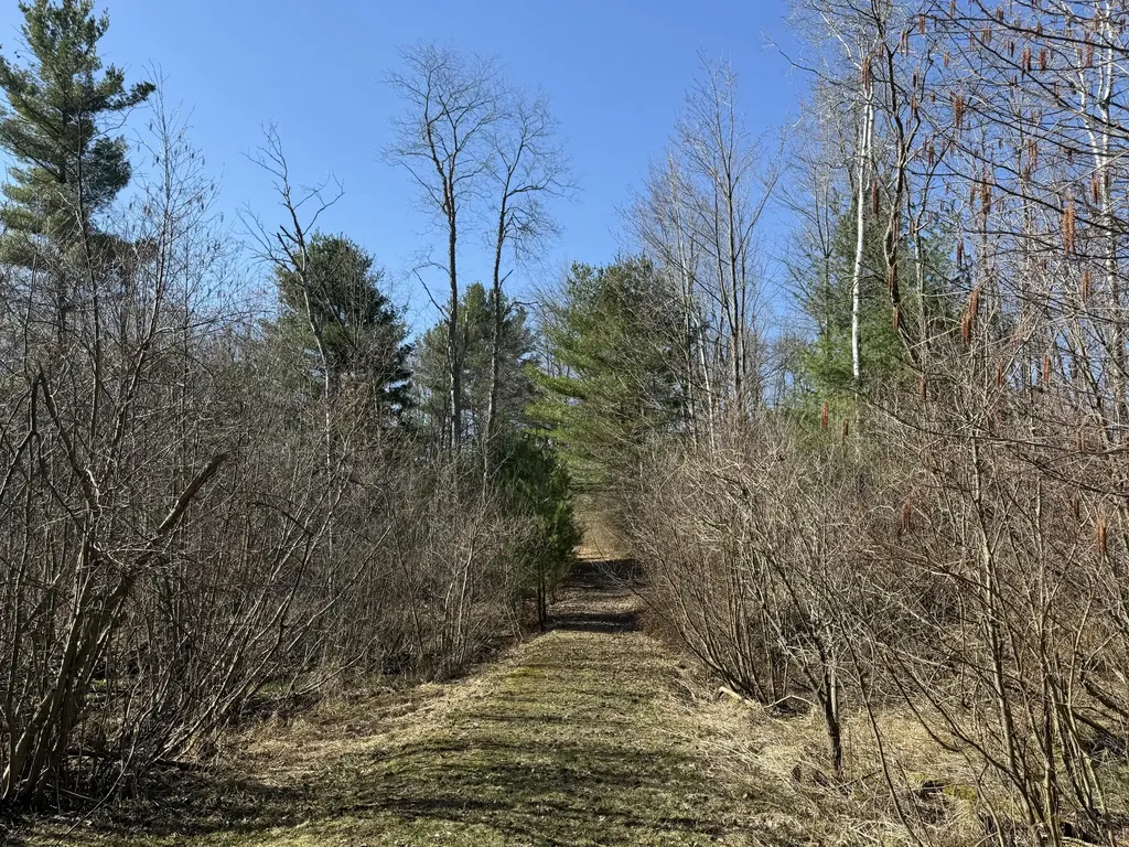 3345 W Madison Road Weare Township MI 49420