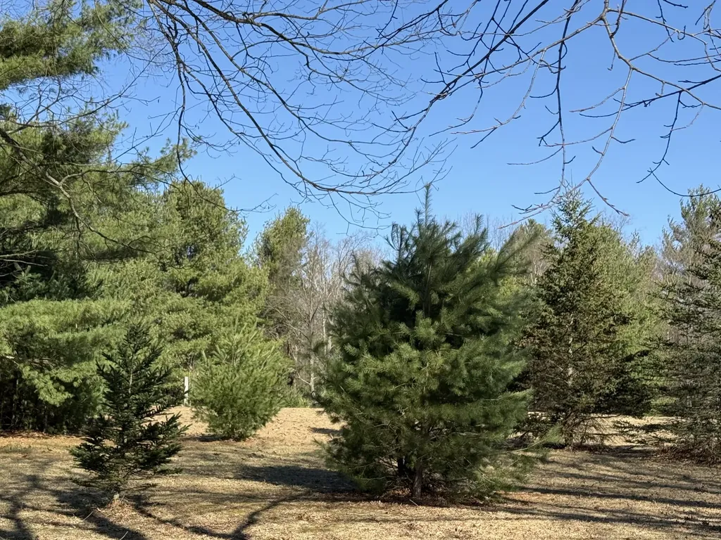 3345 W Madison Road Weare Township MI 49420
