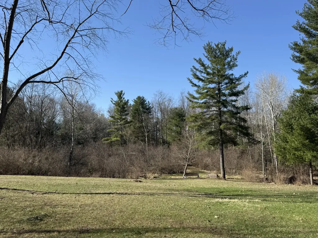 3345 W Madison Road Weare Township MI 49420