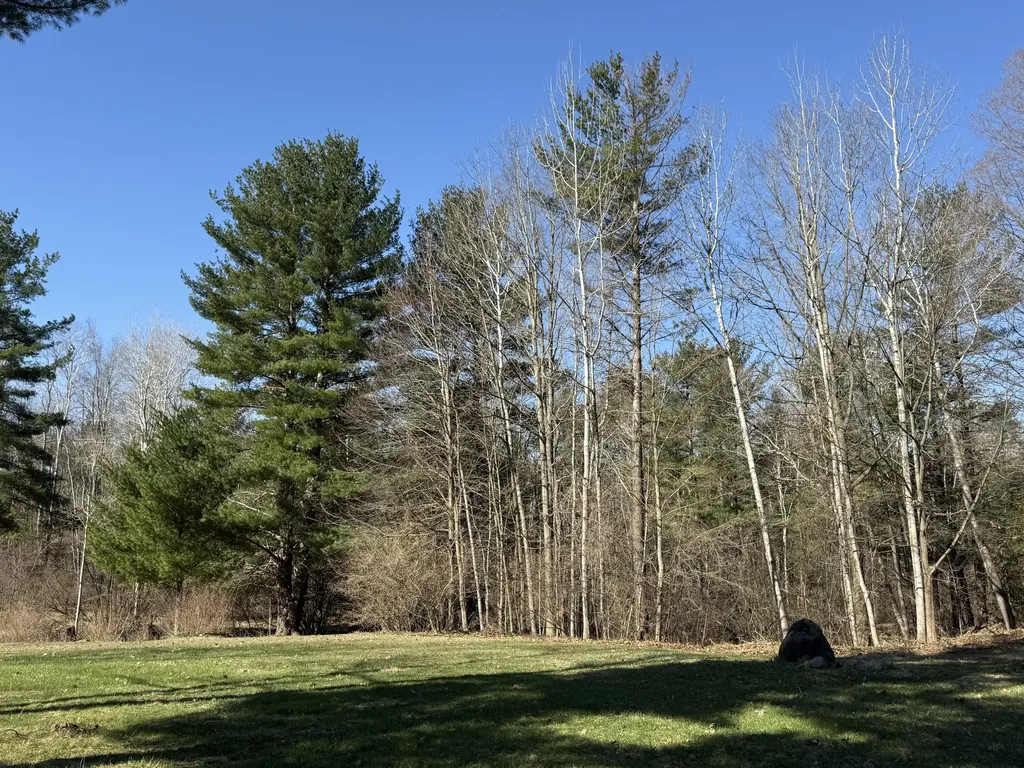 3345 W Madison Road Weare Township MI 49420