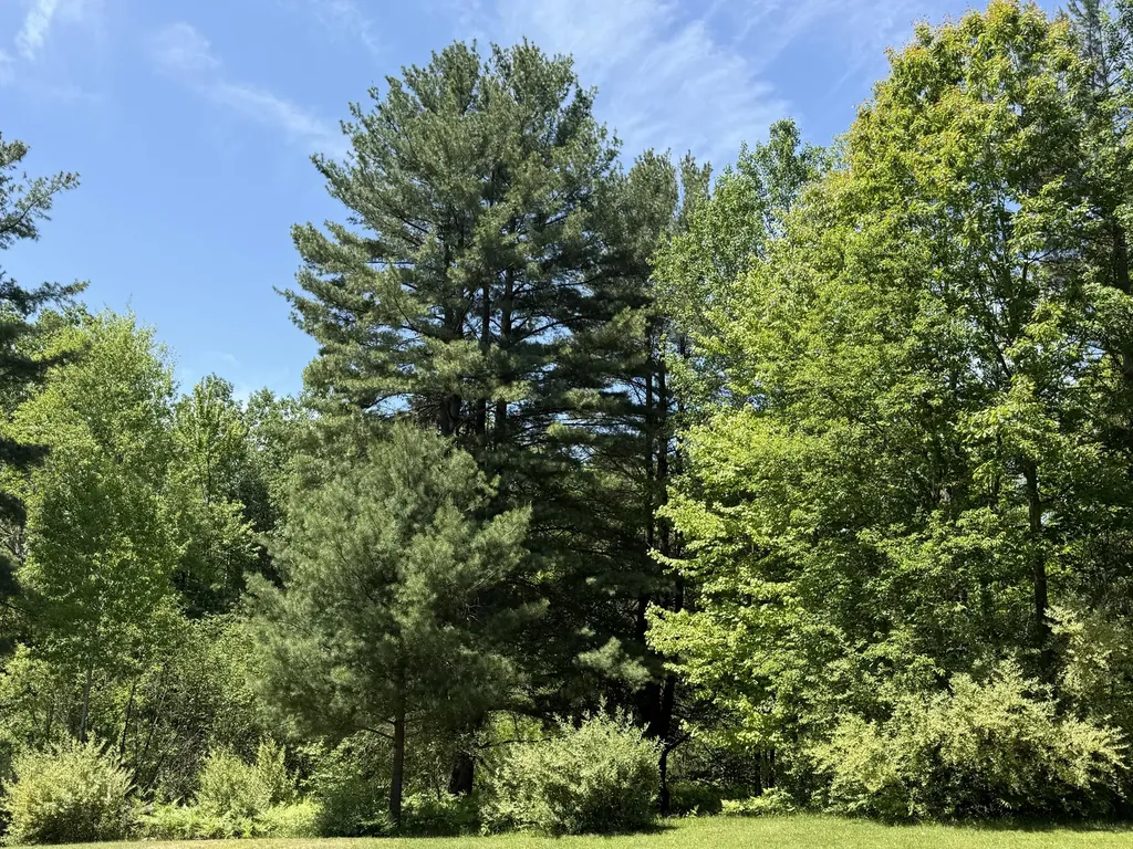 3345 W Madison Road Weare Township MI 49420