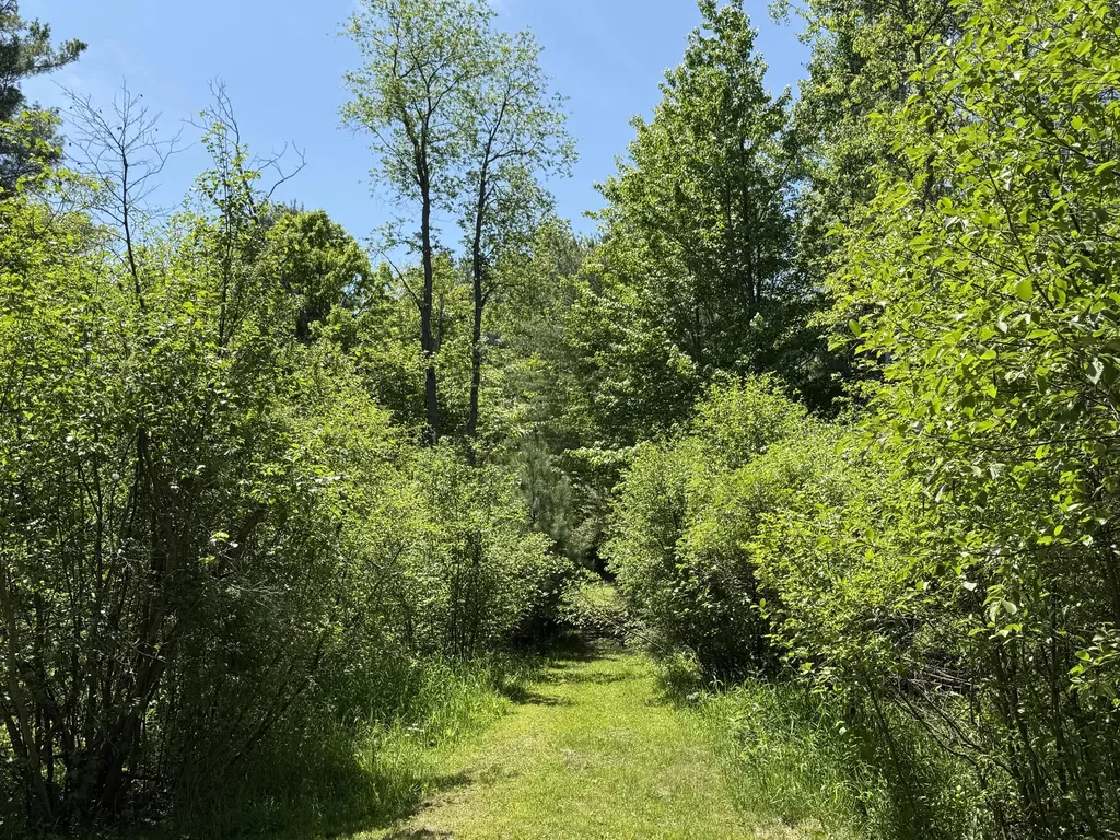 3345 W Madison Road Weare Township MI 49420