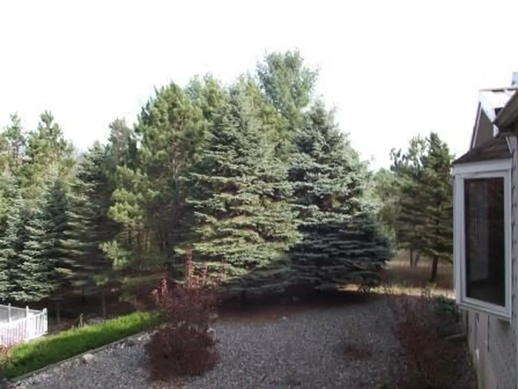 1316, 28&70 E Chauvez Road Custer Township MI 49454