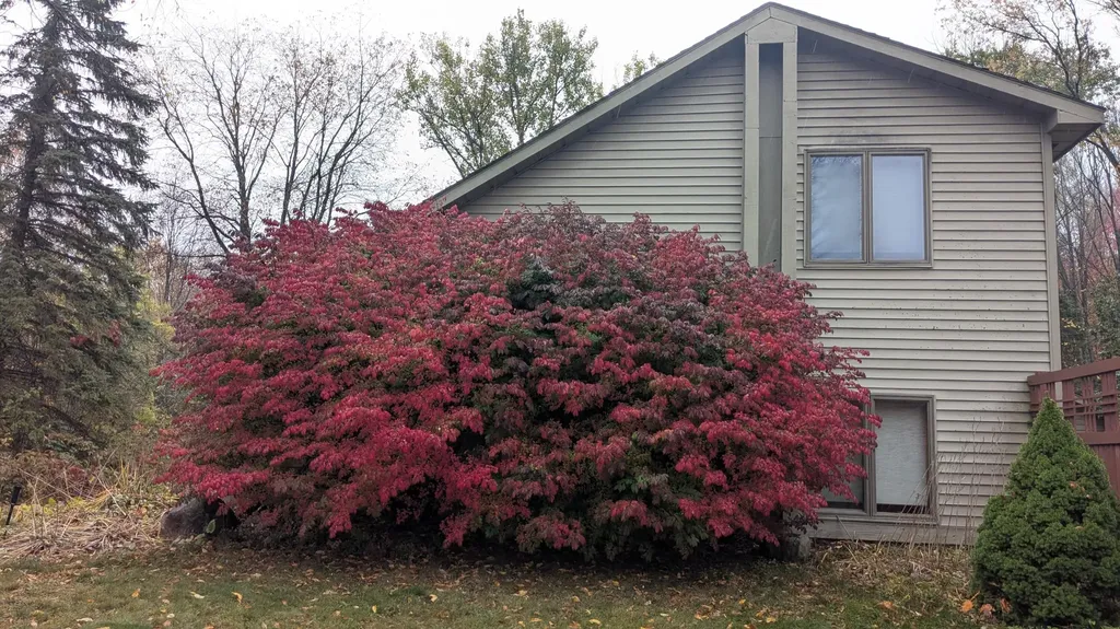 2256 Whitetail Drive Cherry Grove Township MI 49601
