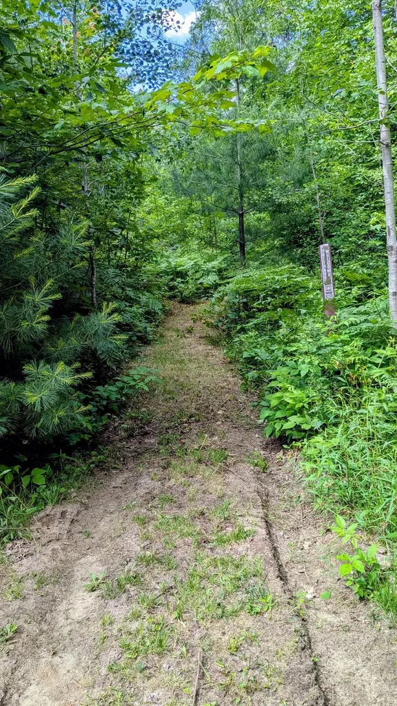 2256 Whitetail Drive Cherry Grove Township MI 49601