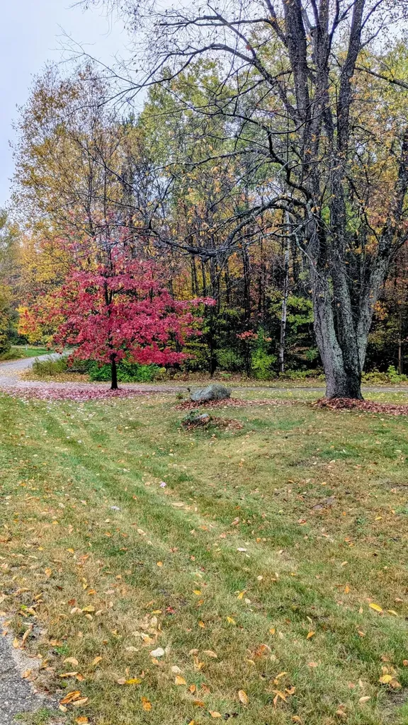 2256 Whitetail Drive Cherry Grove Township MI 49601