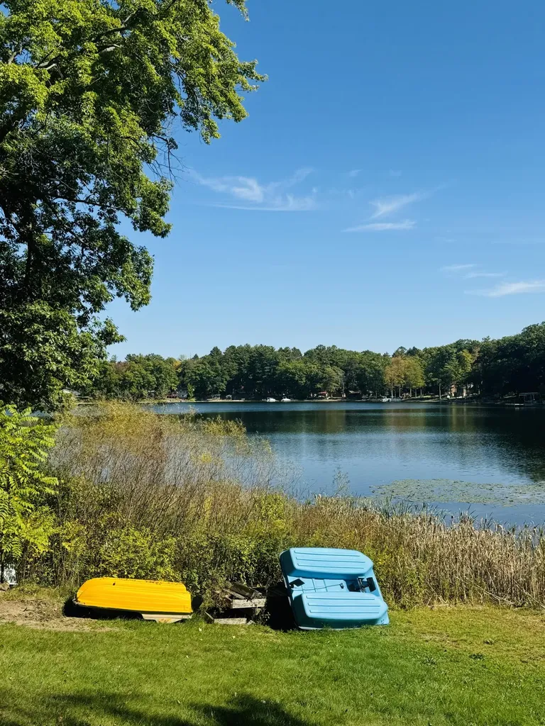 5112 N Bass Lake Road Lake Township MI 49644