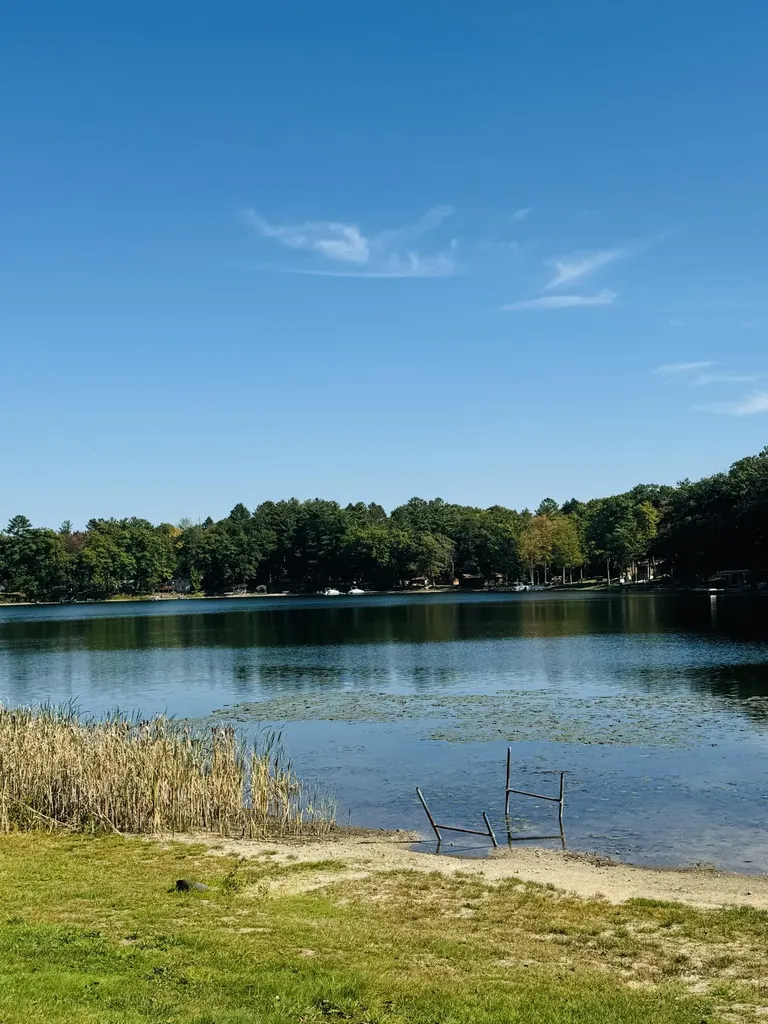 5112 N Bass Lake Road Lake Township MI 49644