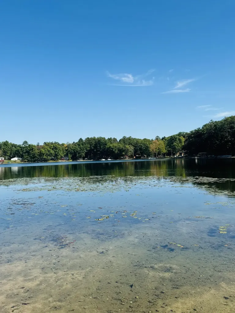 5112 N Bass Lake Road Lake Township MI 49644